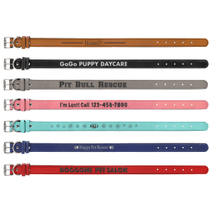 Laserable Leatherette Dog Collar